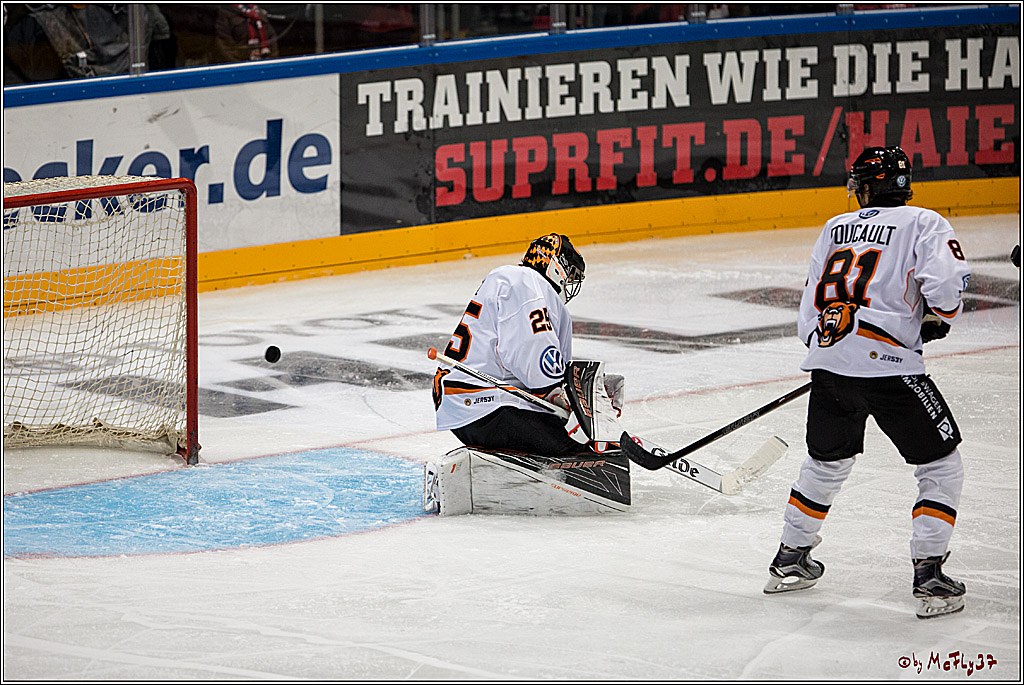 Koelner Haie - Grizzlys Wolfsburg, 16.10.2016, 16.10.2016